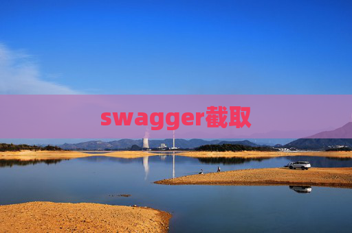 swagger截取